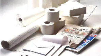 من أين يصنع الورق