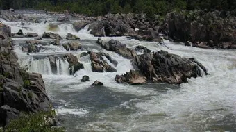 أين يقع نهر بوتوماك