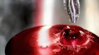 أين يوجد الزئبق الأحمر