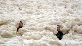 أين يوجد زبد البحر