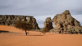 أين تقع هضبة الشطوط