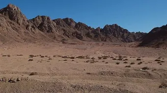 أين تقع صحراء سيناء