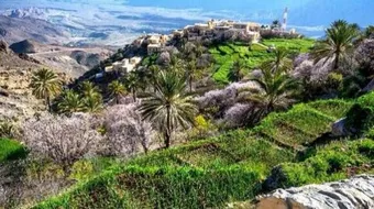 أين تقع قرية وكان