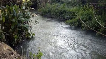 أين يقع وادي شعيب