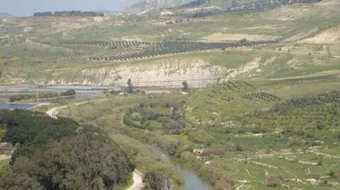 أين تقع اليرموك