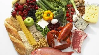 أين يوجد الزنك في الغذاء