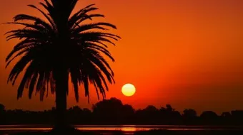 أين ولد سيدنا عيسى ابن مريم