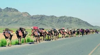 إلى أين كانت رحلة الشتاء والصيف