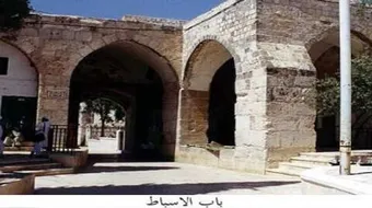 من هم الأسباط