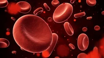 من اكتشف الدورة الدموية الصغرى