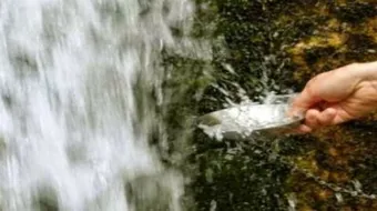 من الذي حفر بئر زمزم