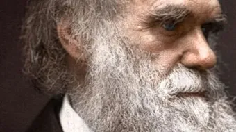 من هو داروين