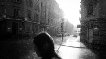 لماذا نحب المطر