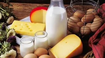 لماذا يؤدي نقص الكالسيوم