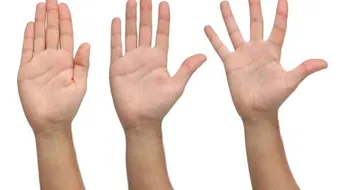 لماذا أصابع اليد غير متساوية