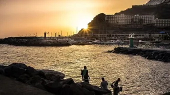 لماذا سميت جزر الكناري بهذا الاسم