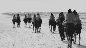 لماذا سميت قبيلة قريش بهذا الإسم