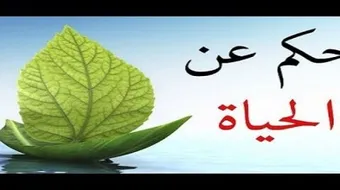 حكمة عن الحياة