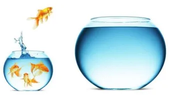 حكمة في الحياة