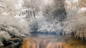 أقوال إسلامية رائعة