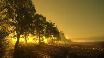 حكمة رائعة عن الحياة