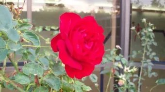 حكم وأمثال رائعة جداً