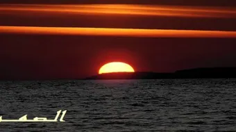 كلمات عن الصمت