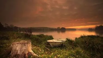 كلمات ومعاني عن الحياة