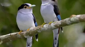 كلام في قمة الروعة