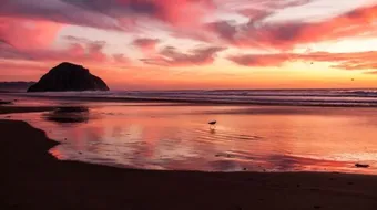 كلمات في المساء الجميل