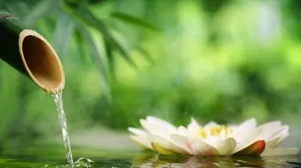 كلمات في الحياة