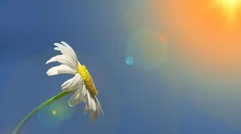 كلمات في الثقة بالنفس