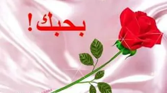 كلام حب للواتس آب