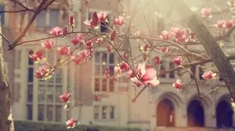 كلام تفاؤل وأمل