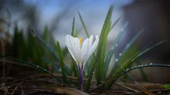 كلمات تفاؤل وأمل