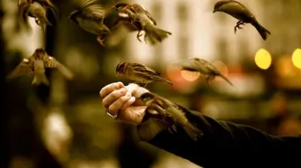 كلام حكم في الصميم