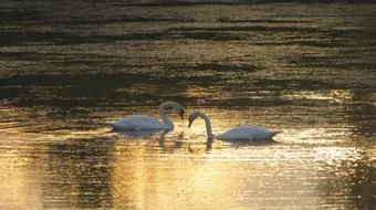 كلمات تلامس القلب