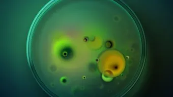 مرض نقص الخميرة