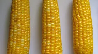 طريقة سلق الذرة الصفراء