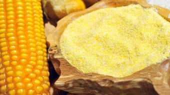 طحين الذرة الصفراء