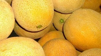 فوائد البطيخ الأصفر