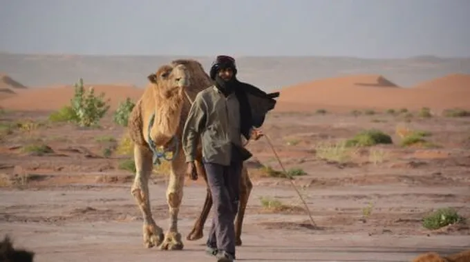 قصائد بدوي الوقداني