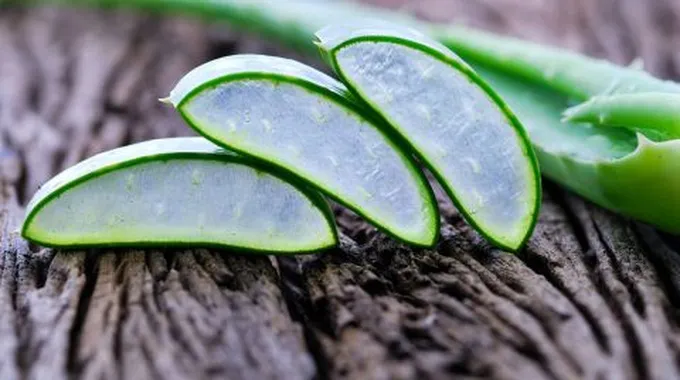 فوائد الصبار للبشرة والشعر