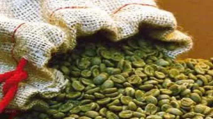 فوائد حبوب القهوة الخضراء للتخسيس