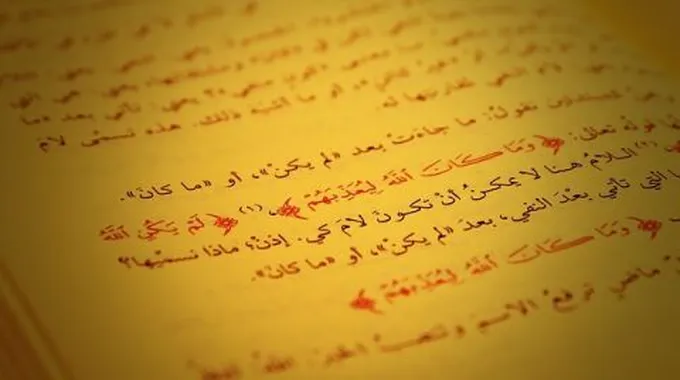 فوائد تعلم اللغة العربية