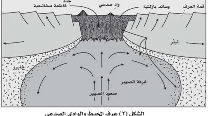 مدينة دمشق