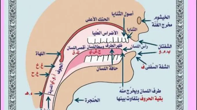 تعريف مخارج الحروف