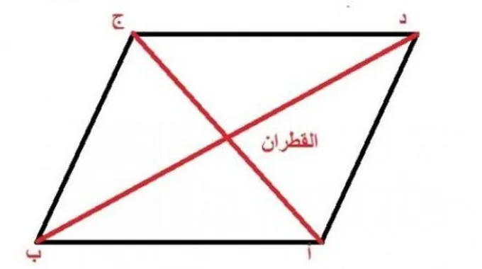 قانون محيط المعين