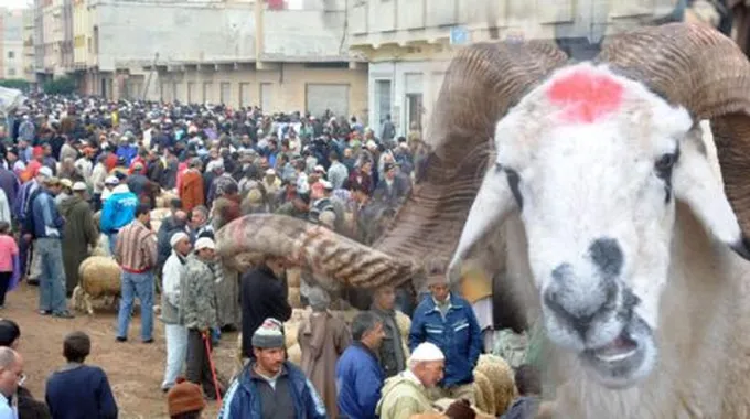 عيد الأضحى بالمغرب