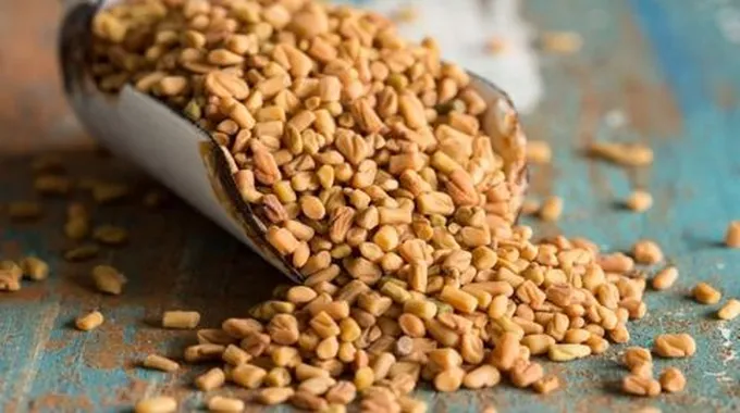 فوائد الحلبة للبشرة الدهنية